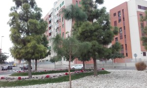 20151223_131432