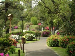 jardin japones