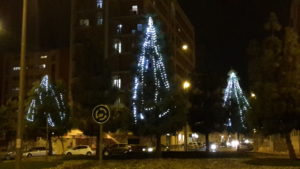 2016-12-12 Luces Navidad Entrada Joven Futura