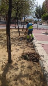 2018-08-28 Limpieza calle Poeta Eloy Sánchez Rosillo y jardines.