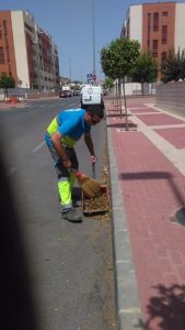 2018-08-28 Limpieza calle Poeta Eloy Sánchez Rosillo y jardines.