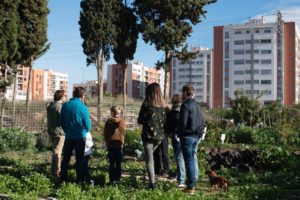 2018-12-01 Paseos por #ElMetropolitano - Huertos de Ocio 2