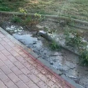 2019-07-26 fuga de agua gotero jardín junto pipican Joven futura