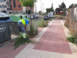 2019-08-08 Limpieza alcorques Alonso de Tenza