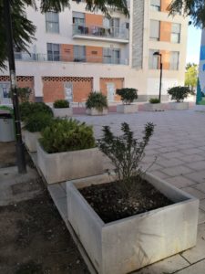 2021-01-25 Reposición de plantas en maceteros y arbustos en jardines de Joven Futura