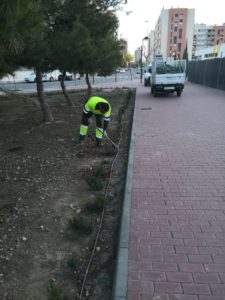 2021-01-25 Reposición de plantas en maceteros y arbustos en jardines de Joven Futura