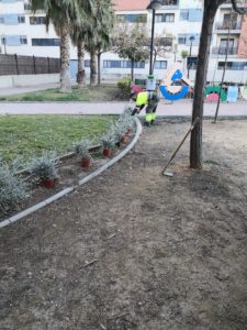 2021-01-25 Reposición de plantas en maceteros y arbustos en jardines de Joven Futura