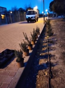 2021-01-25 Reposición de plantas en maceteros y arbustos en jardines de Joven Futura