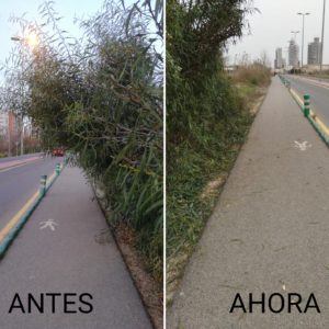 Plantas recortadas que invadían el acceso peatonal a Joven Futura