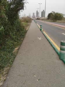 Plantas recortadas que invadían el acceso peatonal a Joven Futura