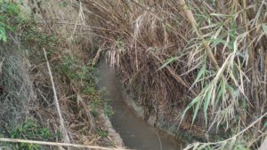 210410 Acequia Alfatego a su paso por Avenida Joven Futura en Espinardo Murcia