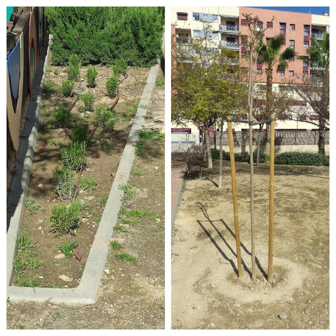 2022-04-01 Reposición arbustos y arbolado - calle Alonso de Tenza
