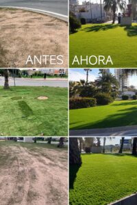 2022-01-16 Fotos arreglo rotonda acceso a Joven futura por calle mayor en Espinardo