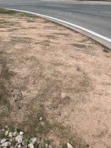 Foto archivo 2022. Mal estado de la rotonda de .acceso a Joven Futura cruce con calle mayor en Espinardo.