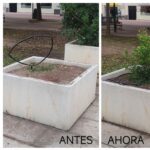 2023-10-20 Reposición plantas en maceteros de Joven Futura