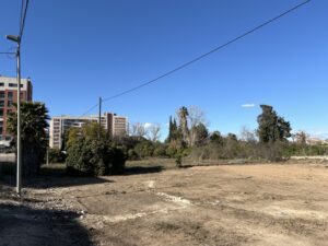 2024 Limpieza solares en carril del Florero junto a Joven Futura